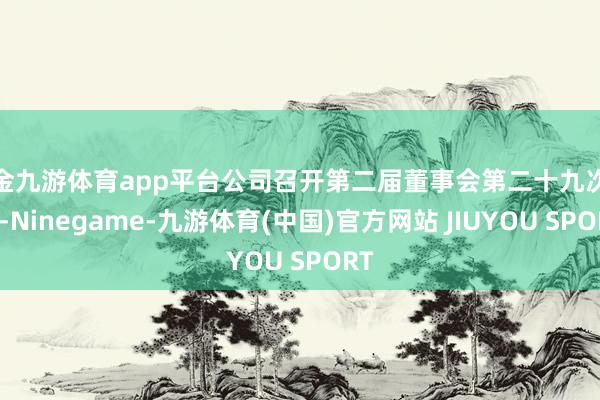 现金九游体育app平台公司召开第二届董事会第二十九次会议-Ninegame-九游体育(中国)官方网站 JIUYOU SPORT