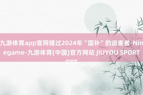 九游体育app官网错过2024年“国补”的迫害者-Ninegame-九游体育(中国)官方网站 JIUYOU SPORT