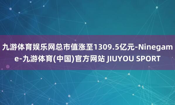 九游体育娱乐网总市值涨至1309.5亿元-Ninegame-